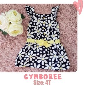 ❤ 2/$15 ❤ GYMBOREE 4T Dress